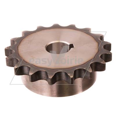 ROUE D'ENTRAINEMENT - SCHMIDT*