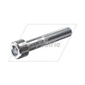 VIS CHC M10X55 CL 8.8 ZING - FAUN*