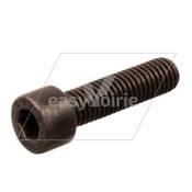 SCREW MC CAP SKT HD M8 x30*