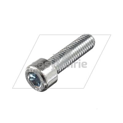 VIS CHC M8x30 - ZOELLER*