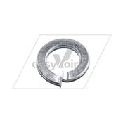 RONDELLE ELASTIQUE GROWER - RAVO*