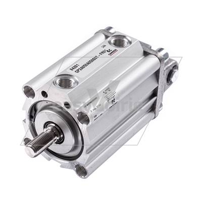 VERIN PNEUMATIQUE DE VERROUILLAGE L500 - GEESINK NORBA*