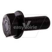 VIS VOLANT MOTEUR - IVECO*