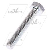 VIS H M10X65 GALVANISE 10.9 DIN/ISO 933/4017*