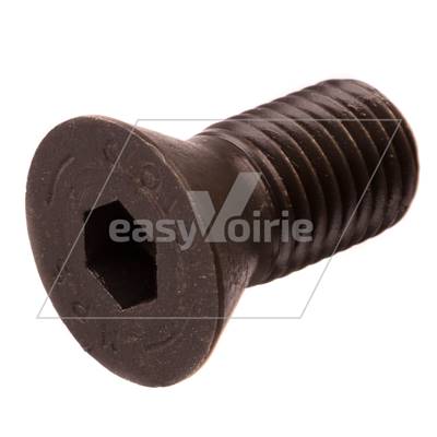 VIS TETE FRAISEE M24X50 CL10.9  SEMAT Cargopac-*