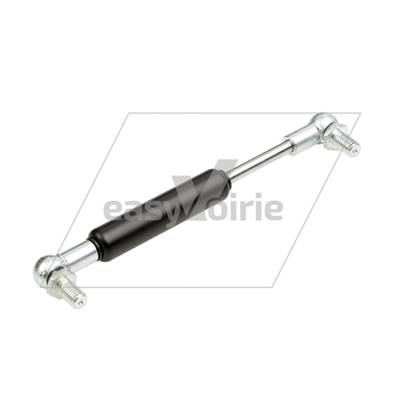 Vérin pneumatique HAKO 2000*