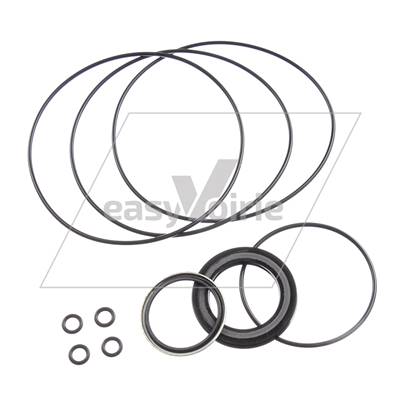 POCHETTE DE JOINTS MOTEUR OMR TYPE UNI -  *