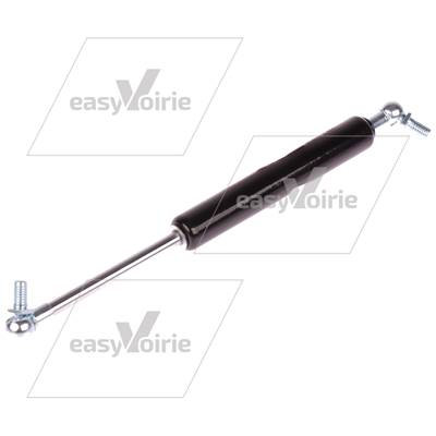 VERIN A GAZ  - BUCHER*