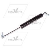 VERIN A GAZ  - BUCHER*