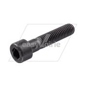 VIS CHC M10x45 - ZOELLER*