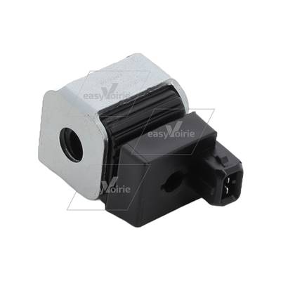 BOBINE BYPASS 24V 14W-TERBERG*