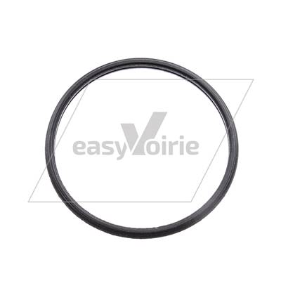 JOINT DE THERMOSTAT - RAVO*