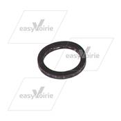 JOINT POUR GICLEUR LECHLER BROCK 10014971*