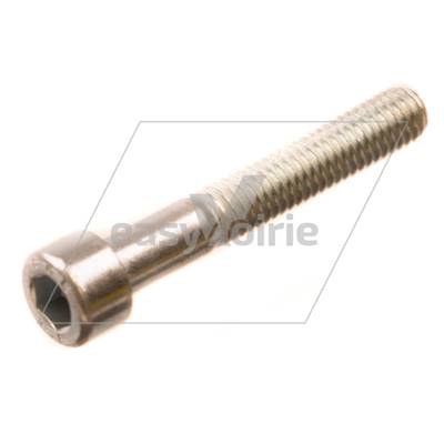 VIS  M6X40 8.8 STD - SCHMIDT*