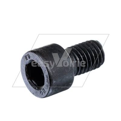 VIS M10X16 CHC - DULEVO*