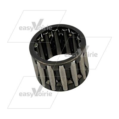 CAGE AIGUILLE SCARAB *-*