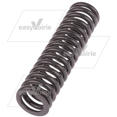 RESSORT INTERIEUR PINCEMENT 18520 omnidel3 - TERBERG*