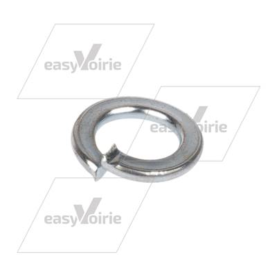 RONDELLE RESSORT OMNIDEL - TERBERG*