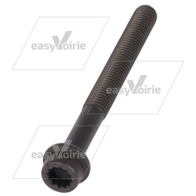 VIS DE CULASSE LONG HR94 - SCHMIDT*