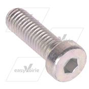 VIS DE VERIN CHC BASSE M8X25 CL8.8 DIN 7984*