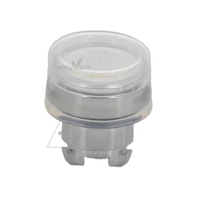 BOUTON BLANC - GEESINK*