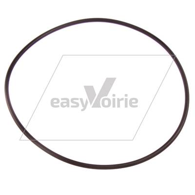 Joint torique 113,89x3,53 FKM pour pompe de gavage - RAVO*