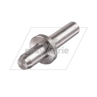 PISTON DE COMPRESSION PB ENVIRONNEMENT-*
