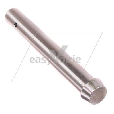 AXE CC2020 - BUCHER*