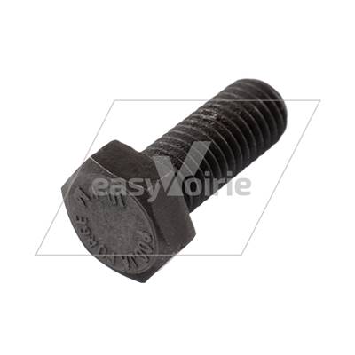 VIS TH M12X30 10.9 BRUT*