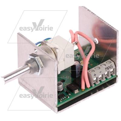 REGULATEUR DE ROTATION BALAI- BROCK*