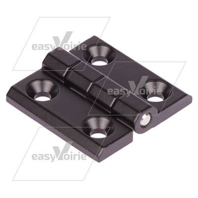 CHARNIERE AZC + GA - MATHIEU*