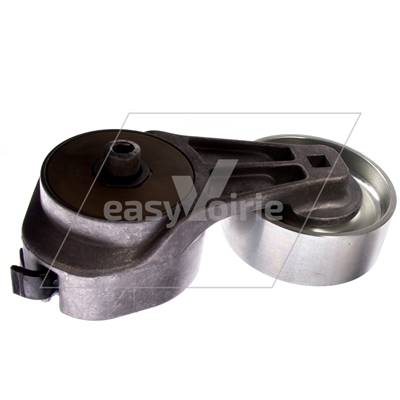 TENDEUR DE COURROIE E3-E4-E5 RAVO/CITY CAT 5006 - MATHIEU*/BUCHER*