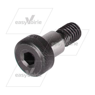 VIS BTR POUR BUTEE DE DEMARRAGE - GEESINK*