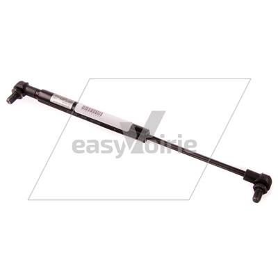 VERIN GAZ PORTE CLEANGO - SCHMIDT*