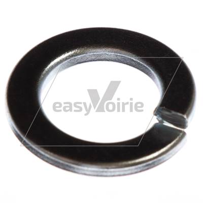 RONDELLE GROWER M12 JOHNSTON *