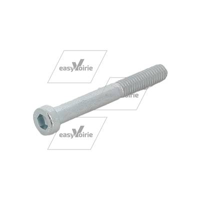 VIS DE VERIN CHC M6x50  DIN 6912- ZOELLER*