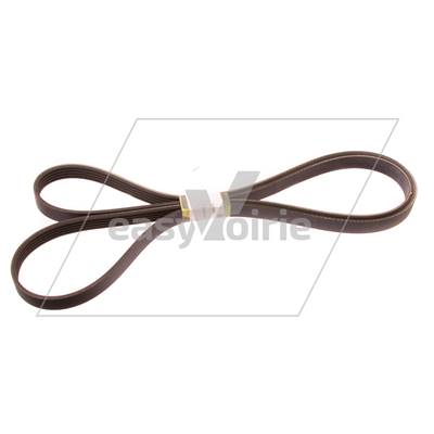 COURROIE ALTERN/PPE EAU -SCHMIDT*