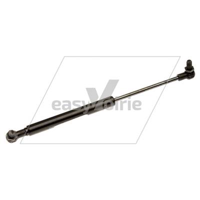 VERIN DE PORTE DULEVO*