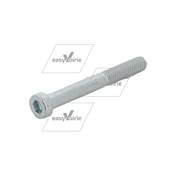 VIS DE VERIN CHC M6x50  DIN 6912- ZOELLER*