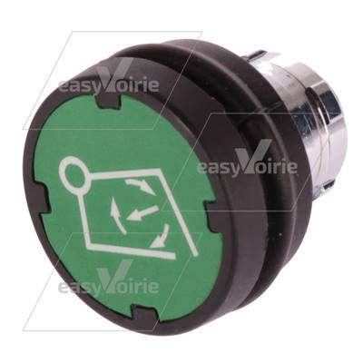 BOUTON MODE AUTO BASCULEUR ZB2 NOUVELLE GENERATION- ZOELLER*