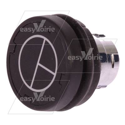 BOUTON POUSSOIR GARDE AU SOL ZB2- ZOELLER*