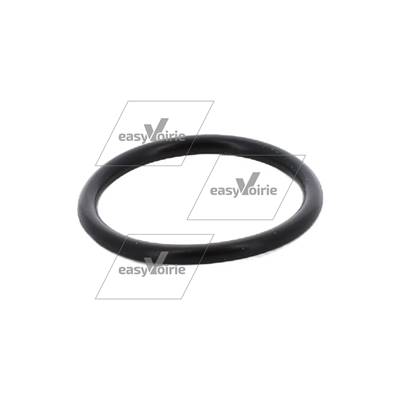 Seal - O-Ring For 3/4 Thread 277148 JOHNSTON*