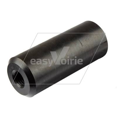 AXE DE VERIN PELLE BAS OLYMPUS - TERBERG*