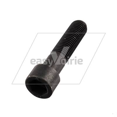 VIS  M16 X 70  12.9 AXE PE - TERBERG*